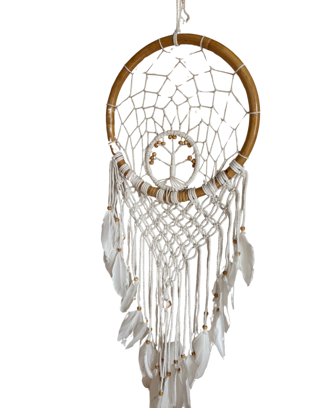 Dream Catchers